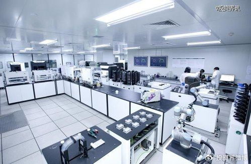 博瑞迪完成2.5億元B輪融資，專注生物育種技術服務，引領農(nóng)業(yè)科技新浪潮