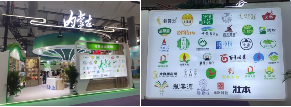 呼和浩特林草產品亮相世界舞臺，技術交流引領綠色發展新風尚